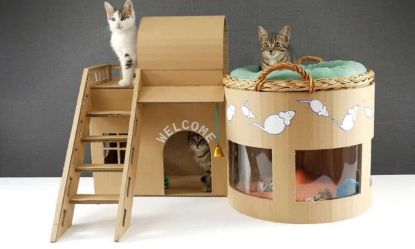 Cat-DIY-Projects