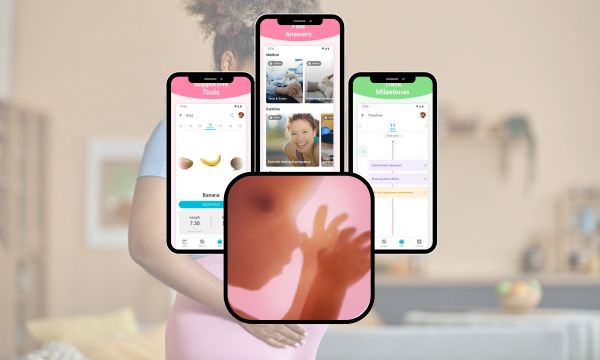 Pregnancy-App-Track-Every-Stage-of-Your-Pregnancy.jpg